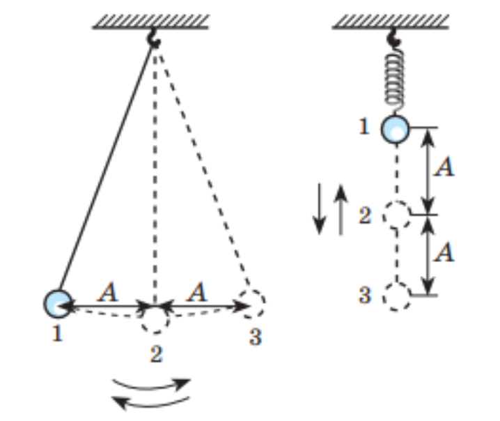 Каков период колебания шарика. Амплитуда колебаний маятника. Амплитуда колебаний шарика. Колебательное движение. Колебания маятника часов.